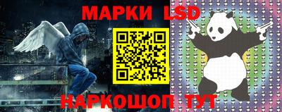 mdpv Краснознаменск