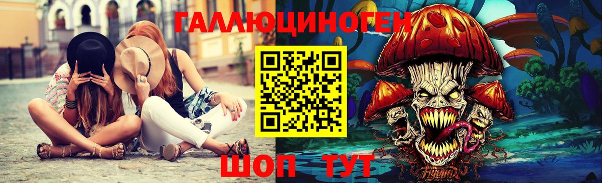 Киселёвск  Псилоцибиновые грибы мухоморы  Вход с VPN 